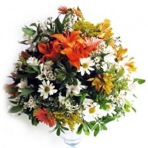 Arranjos para Autoridades